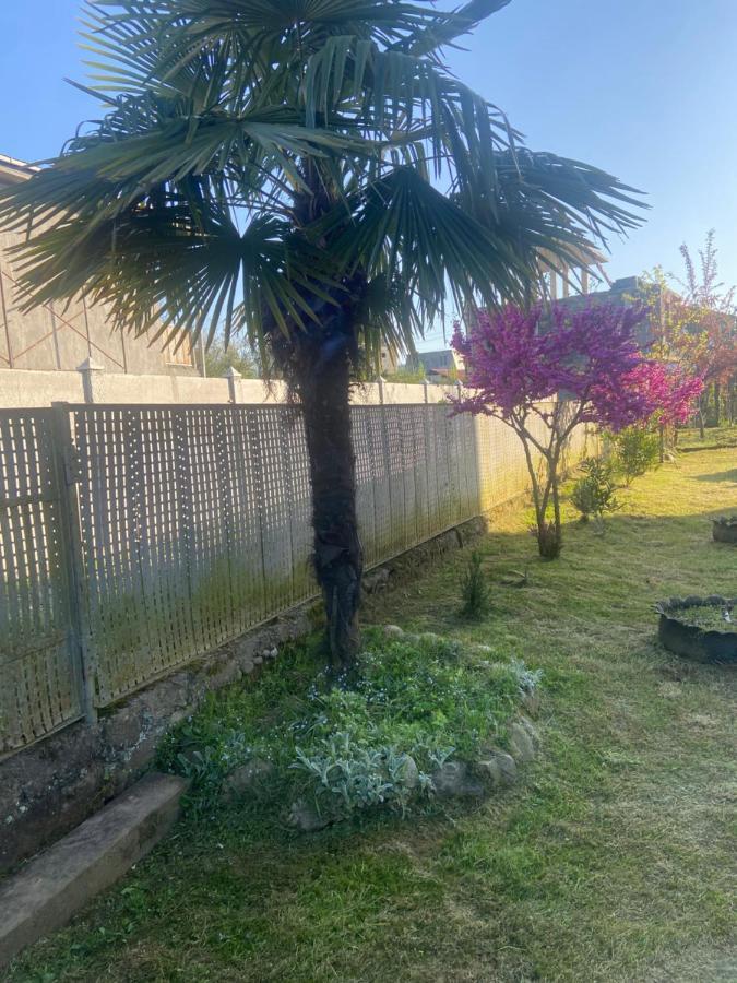Luka Family Guest House Батуми Экстерьер фото